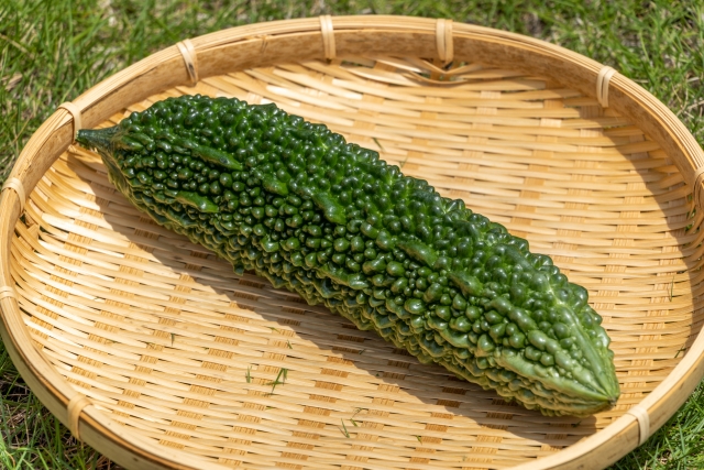 ゴーヤ（にがうり）の栄養と薬膳的効能は？痩せる?アトピーにも良い? - ゆうゆう薬膳～がまんしないアトピー養生食～